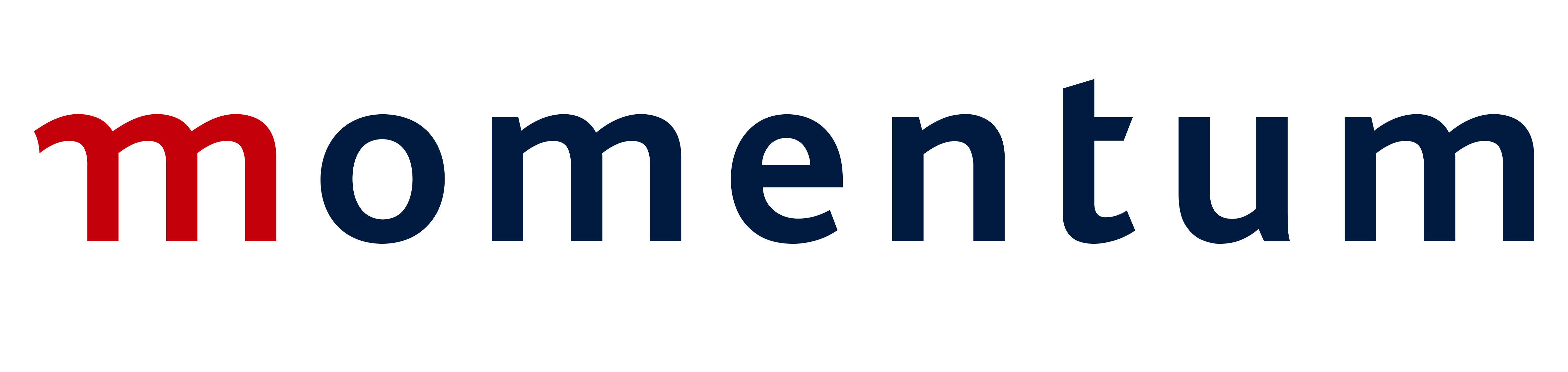 Partner Logo 11